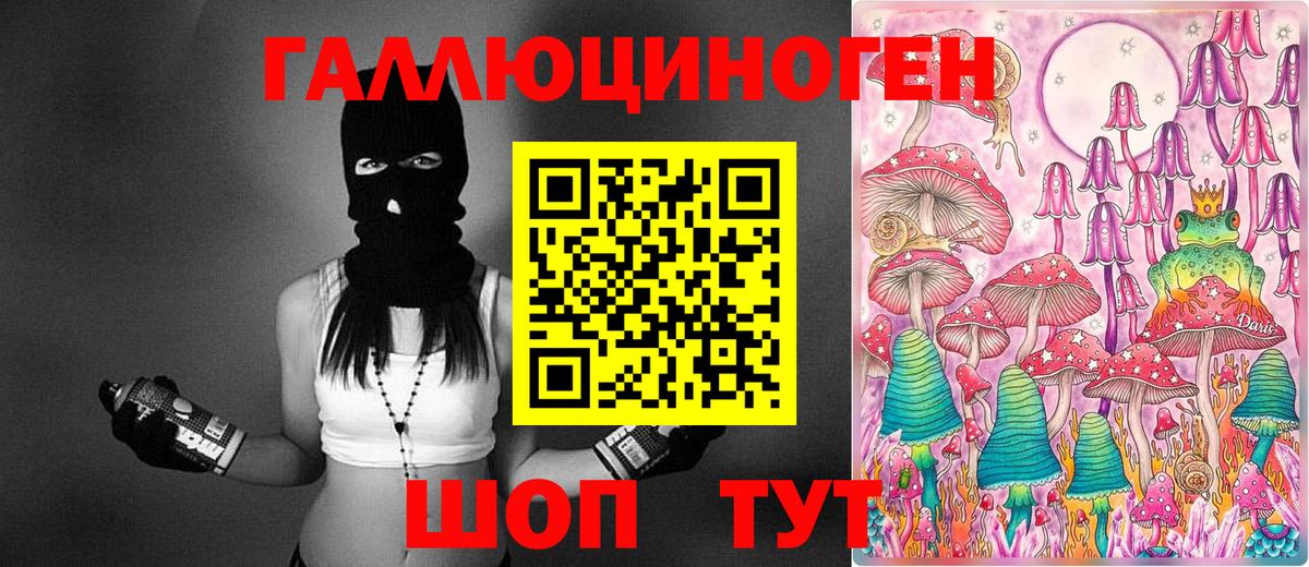Канск  купить наркотик  Вход с VPN  Галлюциногенные грибы Psilocybe 