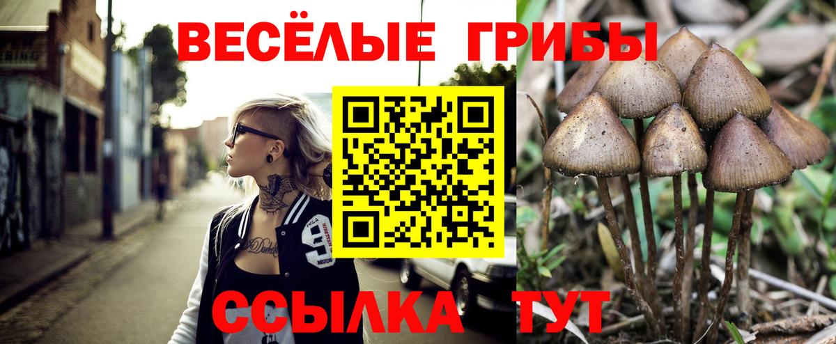 Галлюциногенные грибы мухоморы Канск